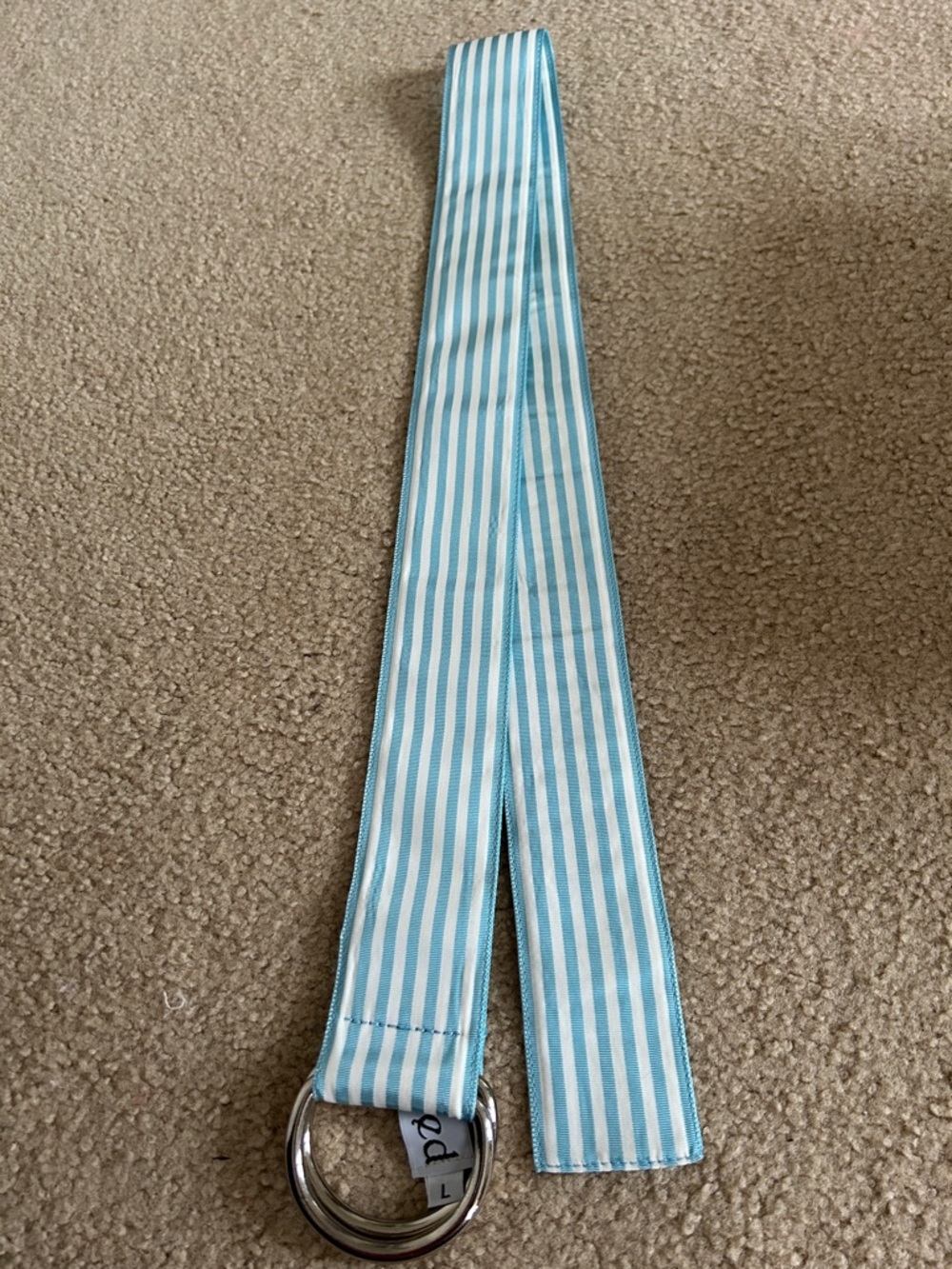 Striped Blue and White D-Ring Belt - Picture 5 of 5
